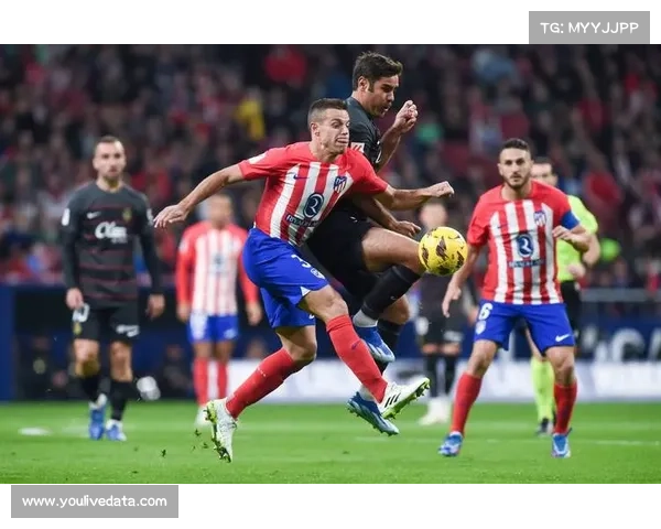 佩莱格里尼谈贝蒂斯前景：中场控制力增强，但核心老龄化存隐忧