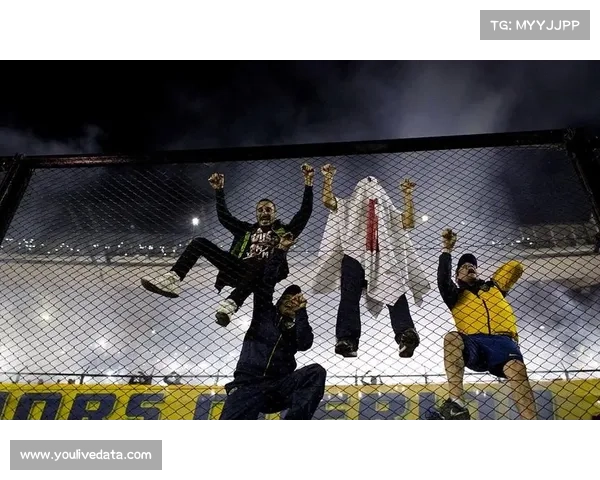 意甲俱乐部联合整改球迷行为，激光笔成重点